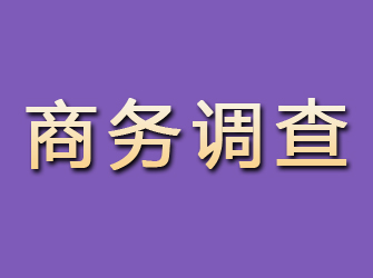 横县商务调查